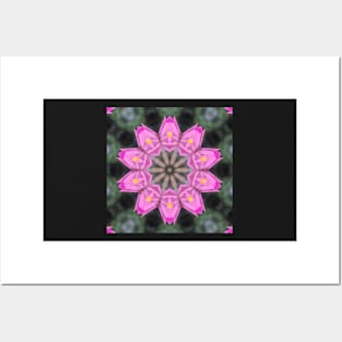 Zinnia Flower Kaleidoscope Pattern (Seamless) 6 Posters and Art